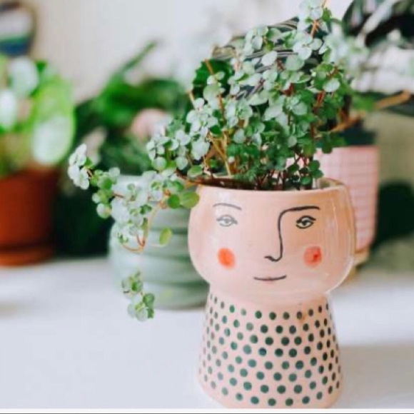 Face planter - Picture 3 of 4